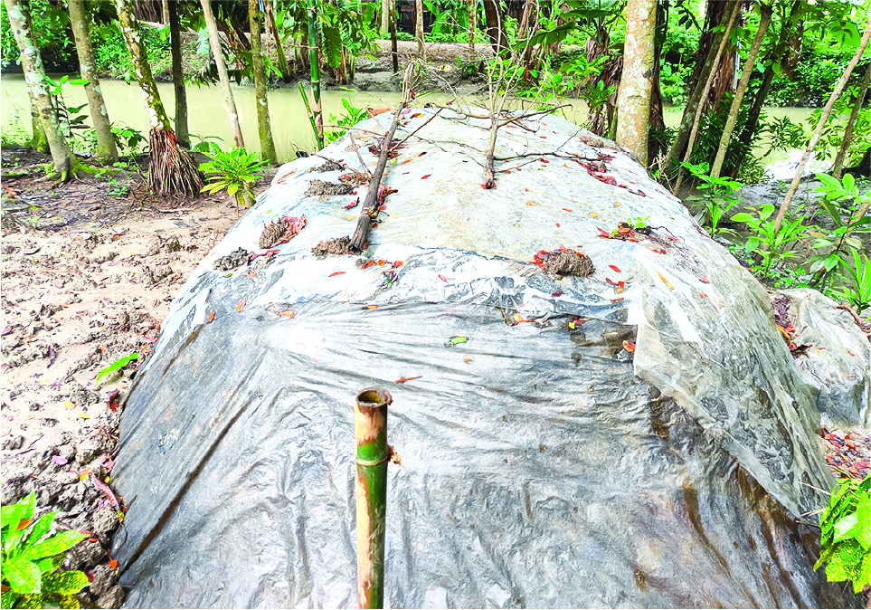 Image of মো: রাকিব বেপারী 